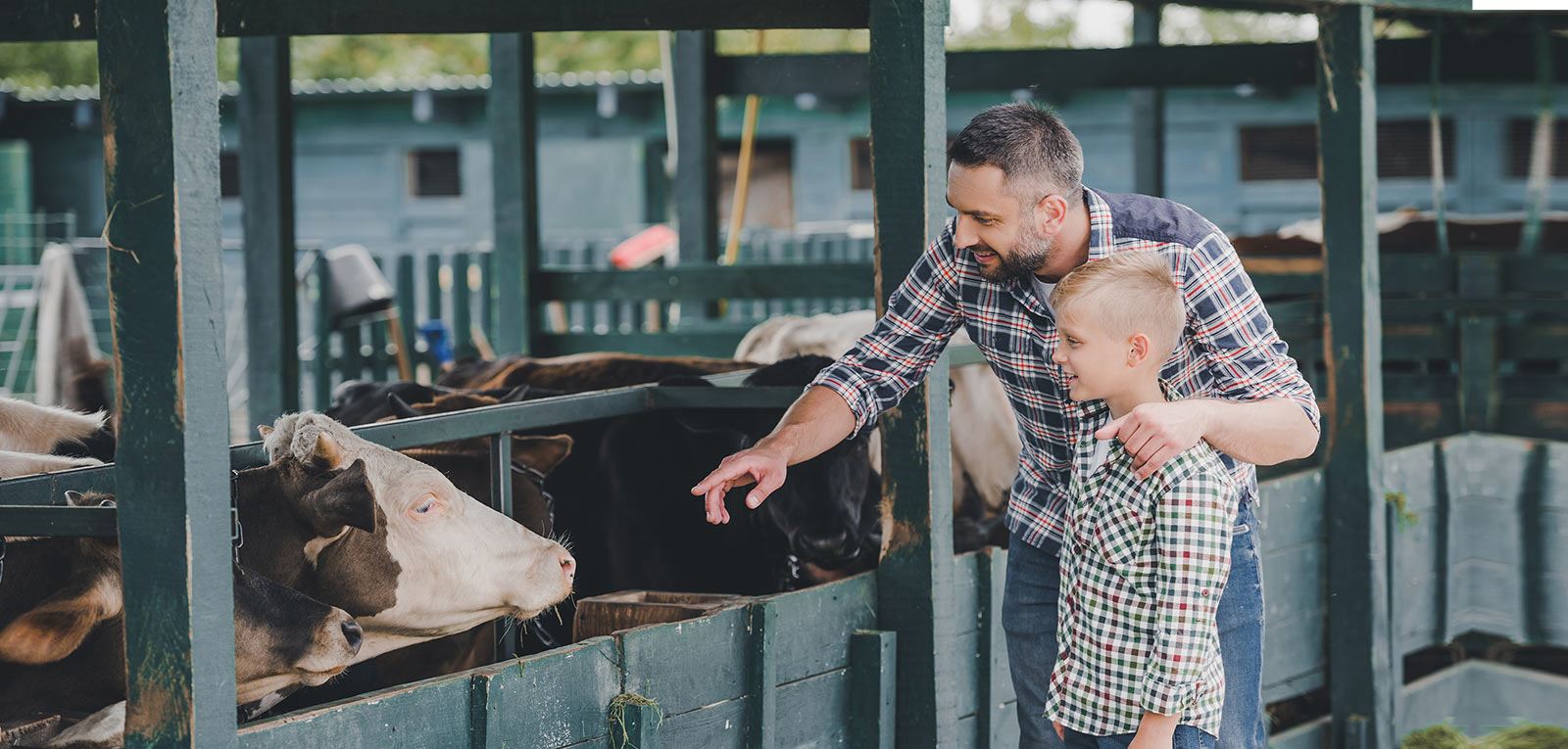 Man pointing at cow while with his son, both smiling