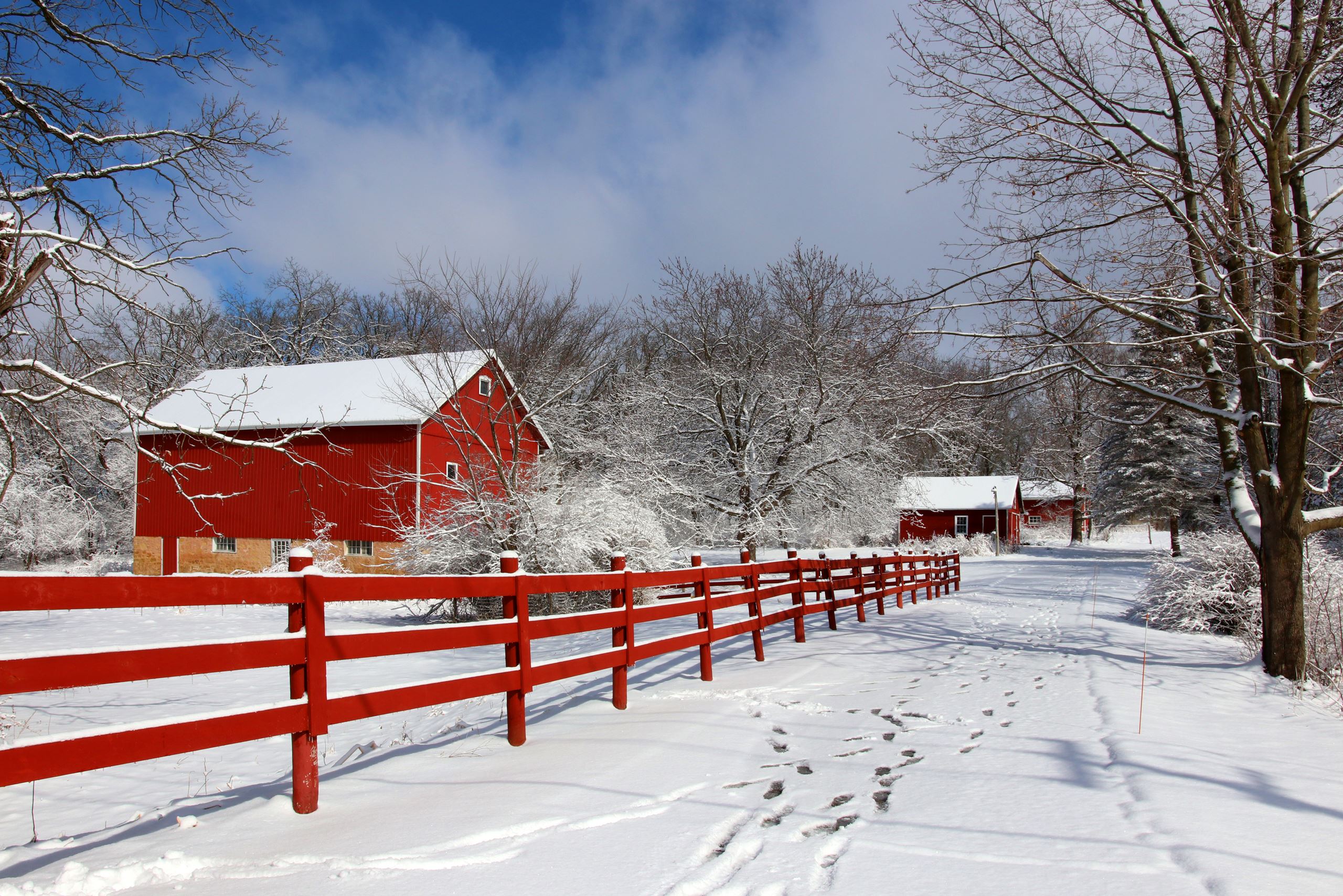 Agriculture and rural life at winter background.Rural landscape with red barn