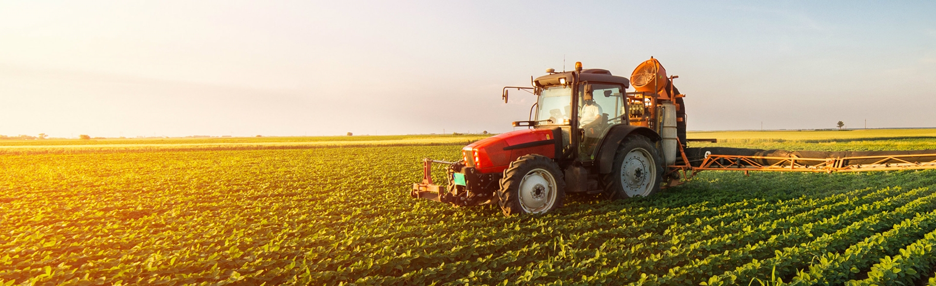 A tractor in a field