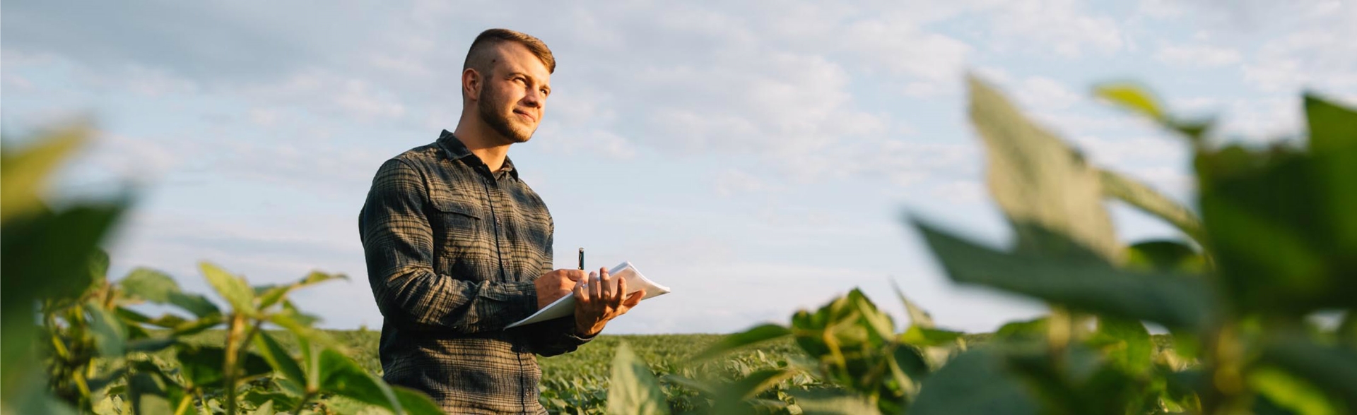 A man with a notebook in a field