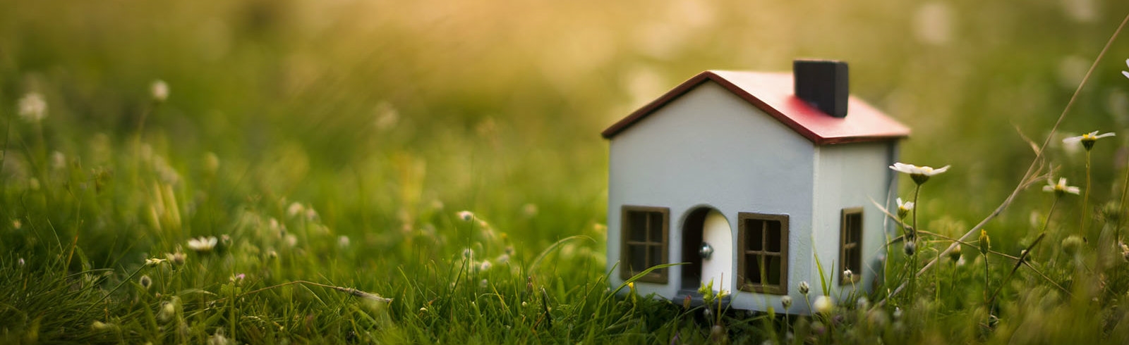 A toy house in a bed of grass