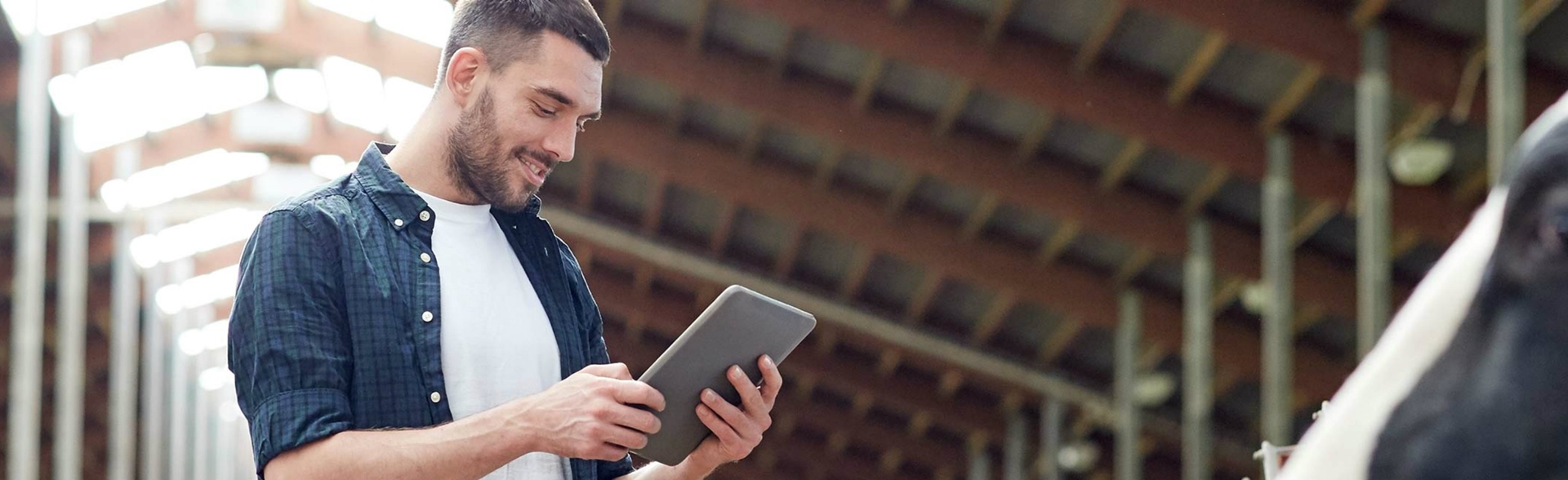 A man looking at his tablet in a barn